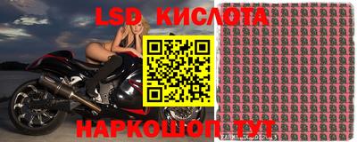 шишки Ликино-Дулёво