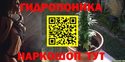 шишки Ликино-Дулёво