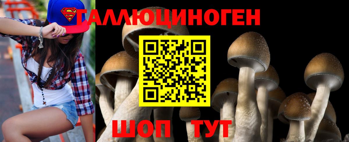 Элиста  Галлюциногенные грибы Psilocybe  Вход с VPN  Галлюциногенные грибы мицелий 