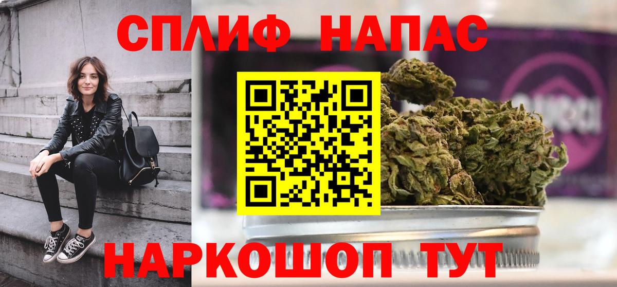 Каннабис планчик Элиста